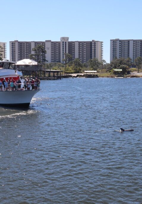 The Fun Boats Dolphin Cruises Gulf Shores Orange Beach440958992_944069201055244_7081096741824581548_n