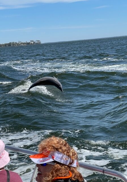 The Fun Boats Dolphin Cruises Gulf Shores Orange Beachimage3