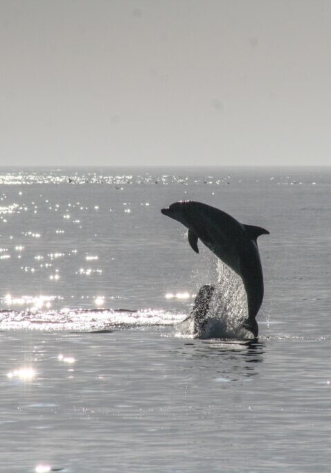 noah-boyer-dgBOx1e3Mbs-unsplash