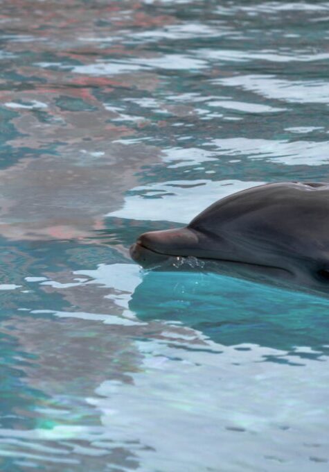 sophie-vinetlouis-A2U5UbsuTiE-unsplash